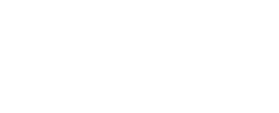 mint logo