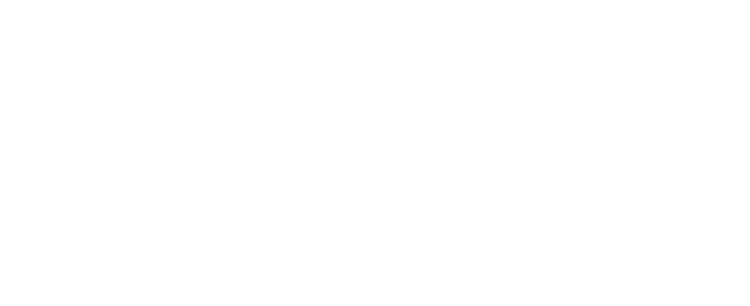 your story logo